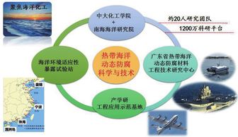 海洋縱深開發背景下熱帶海洋動態防腐技術的創新與發展——訪廣東省熱帶海洋動態防腐材料工程技術研究中心主任羅荘竹